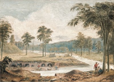 Excavación de oro de David Tulloch
